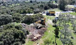 Didim Belediyesi ekiplerinden temizlik çalışması