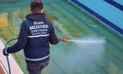 Didim'de vektörle mücadele dört mevsim sürüyor