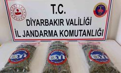 Diyarbakır'da 25 kilo esrar ele geçirildi
