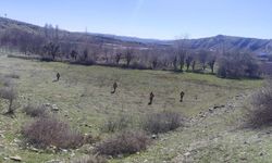 Diyarbakır'da kayıp engelli şahsı arama çalışmalarına ara verildi