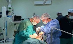 Doğubayazıt'ta engelli ve yatağa bağımlı hastaların tedavisi için iş birliği yapıldı