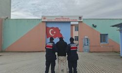 Düzce'de 25 bin kişi sorgulandı 18 kişi tutuklandı