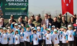 Düzce'de yüzlerce fidan toprakla buluştu