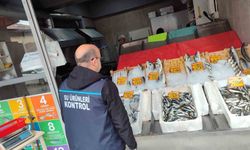 Edirne'de su ürünleri denetimleri sürüyor