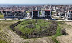 Edirne'de tarihi tabyalar yok olma tehlikesiyle karşı karşıya