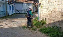 Efeler Belediyesi'nin yeşil alan çalışmaları sürüyor