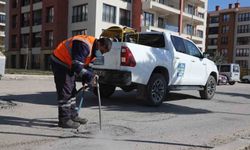 Elazığ'da larva üretiminin engellenmesi için çalışmalar sürüyor