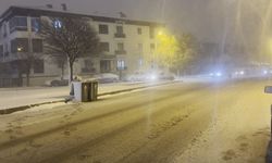 Erzincan'da kar yağışı