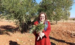 Gaziantep Büyükşehir'den Nizip'e örnek tarımsal destekler