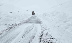 Hakkari'de 13 köy ve 32 mezra yolu ulaşıma kapandı