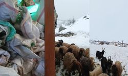 Hakkari'de 1,5 metrelik kar: Çiftçiler çaresiz