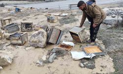 Hakkari'de selde 150 kovan zarar gördü