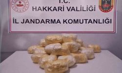 Hakkari'de tırda 15 kilo 263 gram metamfetamin ele geçirildi