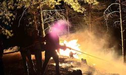 Hatay'da ormanlık alanda çıkan yangın büyümeden söndürüldü