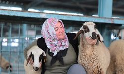 Hayvancılık desteği üreticileri sevindirdi