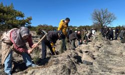 'Hep Birlikte Geleceğe Nefes' sloganıyla fidanlar toprakla buluştu