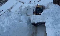 Hizan'da köy yoluna çığ düştü