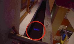 İstanbul'da 2019'daki kayıp dosyasından cinayet çıktı: Eşini öldürüp parçaladı