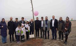 İznik'te fidanlar toprakla buluştu