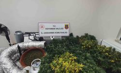 Jandarmadan uyuşturucu operasyonu: 1 gözaltı