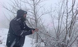 Kar altında kalan fındık bahçeleri, üreticileri tedirgin ediyor