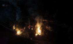 Karabük'te ormanlık alanda çıkan örtü yangını söndürüldü