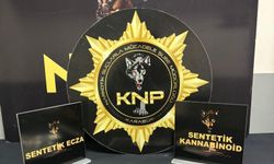 Karabük'te uyuşturucu operasyonlarında 9 kişi yakalandı