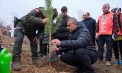 Karaman'da 6 bin fidan toprakla buluşturuldu
