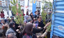Karapınar'da ağaçlandırma etkinliği