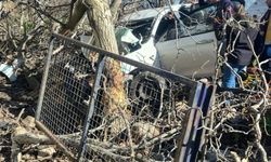 Kontrolden çıkan otomobil ağaçlara ok gibi saplandı: 2 ölü, 1 ağır yaralı