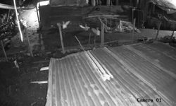 Malatya'da kümese giren kurt, kazı alıp kaçtı