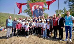 Milas'ta yanan sahalar fidanlarla canlanıyor