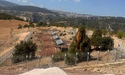 Milyonluk Sokak Hayvanları Doğal Yaşam Alanı ortada kaldı