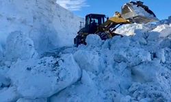 Muş'ta mahsur kalan vatandaşlar kurtarıldı