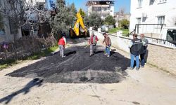 Nazilli'de yol çalışmaları sürüyor