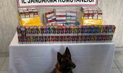 Niğde'deki kaçakçılık operasyonuna çok sayıda kaçak ürün ele geçirildi