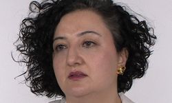 'Okullarda Şiddet ve Akran Zorbalığı'