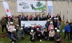 Ordu'da fidanlar topraklar buluşturuldu