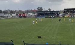 Osmaniye'de maça beklenmedik misafir