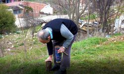 Osmanlı Devleti'nden kalma 205 yıllık gelenek yaşatılıyor