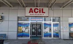 Otomobil ağaca çarptı: 1 yaralı