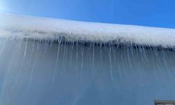 Patnos'ta kar yağışının ardından don etkili oldu