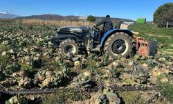 Pazarda 70 lira ama yüzbinlercesi tarlada çürüdü: Üreticiler Tarım Kredi'ye çağrı yaptı
