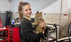 Sanayinin 17 yaşındaki oto tamircisi kadın ustası