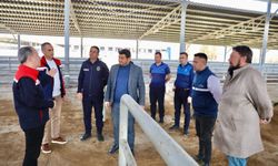 Şap hastalığı nedeniyle kapalı olan hayvan pazarı yeniden açılıyor