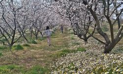 Sarıgöl'de kartpostallık manzara