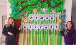 Sarıgöl'de Orman Haftası Panosu büyük ilgi gördü