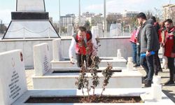 Siirt'te bayram öncesi şehitliklerde bakım, onarım ve temizlik seferberliği