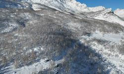 Şırnak'ta kar sonrası dağlar beyaza büründü