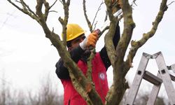 Tarım Akademisi'nden tarımsal kalkınmaya destek: Öğrenciler öğrendiklerini sahada uyguluyor
